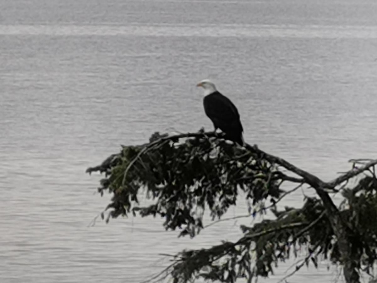 Vancouver Island Castle Cove Inn Chemainus Εξωτερικό φωτογραφία
