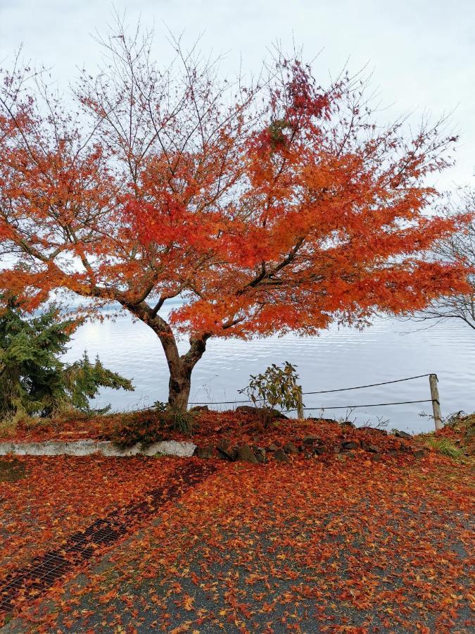 Vancouver Island Castle Cove Inn Chemainus Εξωτερικό φωτογραφία