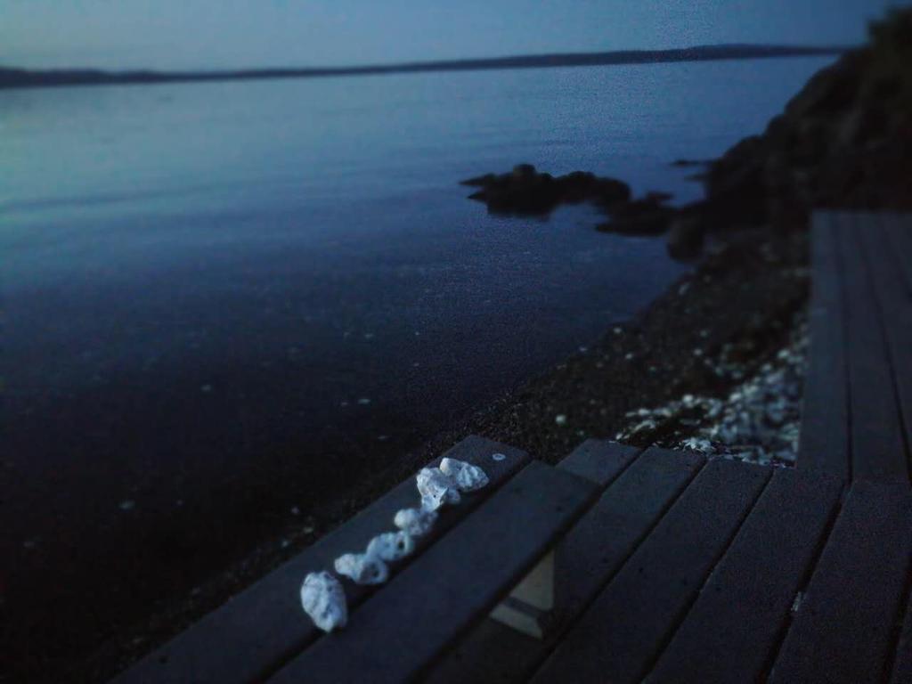 Vancouver Island Castle Cove Inn Chemainus Εξωτερικό φωτογραφία