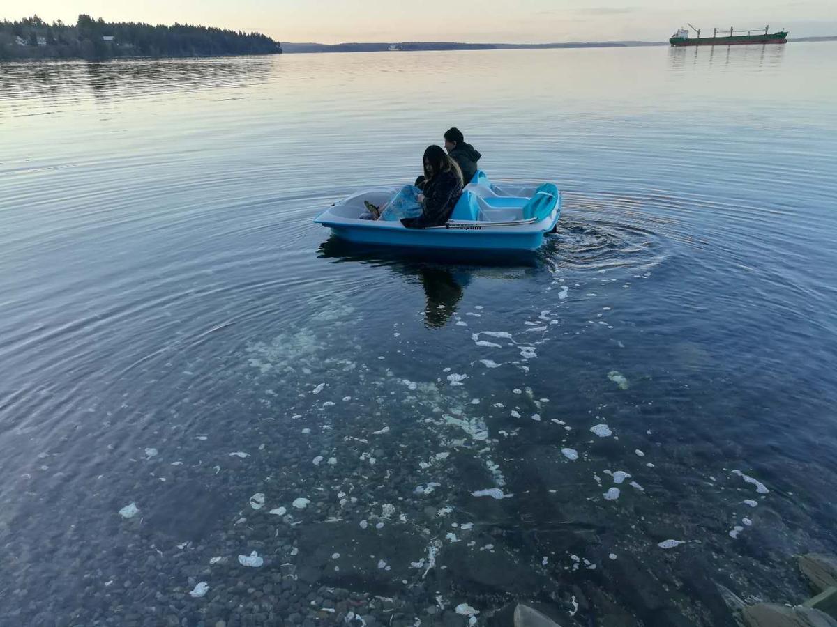 Vancouver Island Castle Cove Inn Chemainus Εξωτερικό φωτογραφία