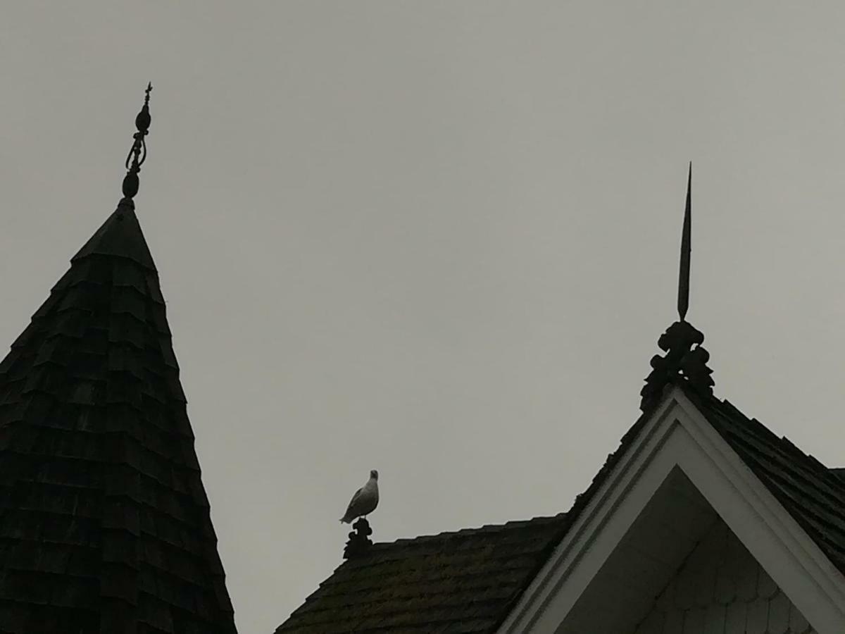 Vancouver Island Castle Cove Inn Chemainus Εξωτερικό φωτογραφία